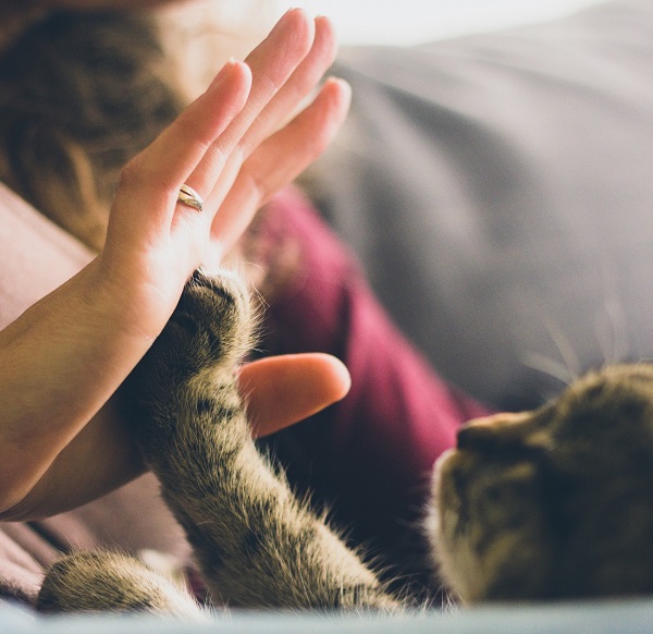 highfive.jpg highfive.jpg